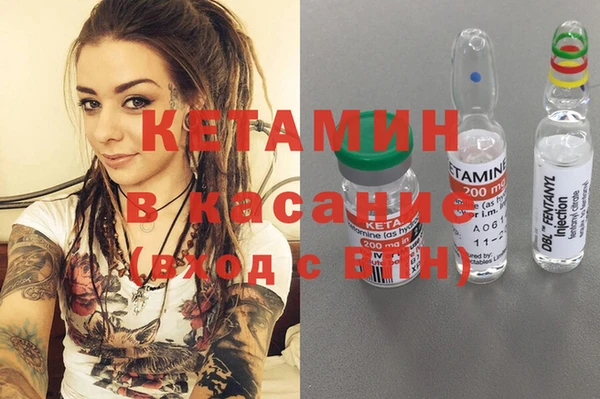 индика Нея