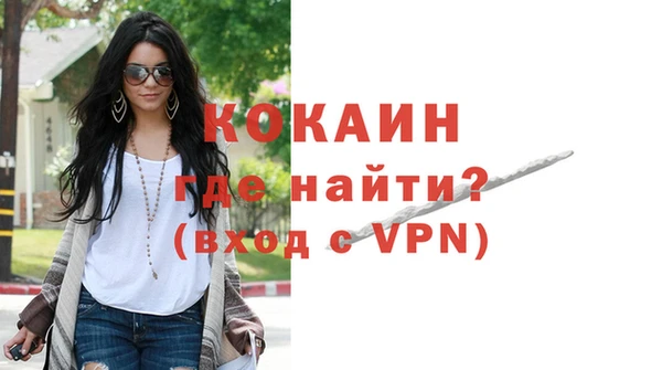 индика Нея