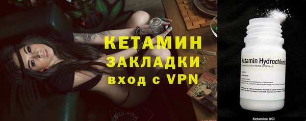 индика Нея