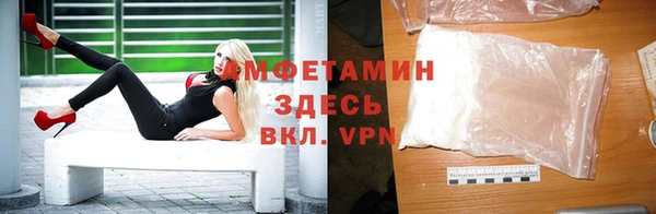 индика Нея