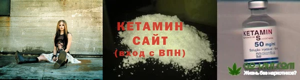 индика Нея