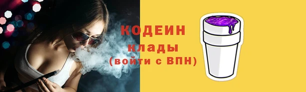 индика Нея