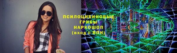 прущие грибы Нефтекумск