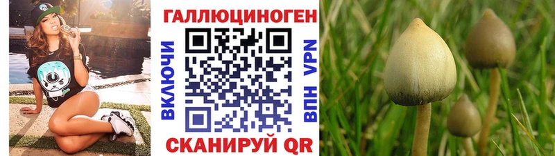 Галлюциногенные грибы мицелий  цена наркотик  Спасск-Рязанский 